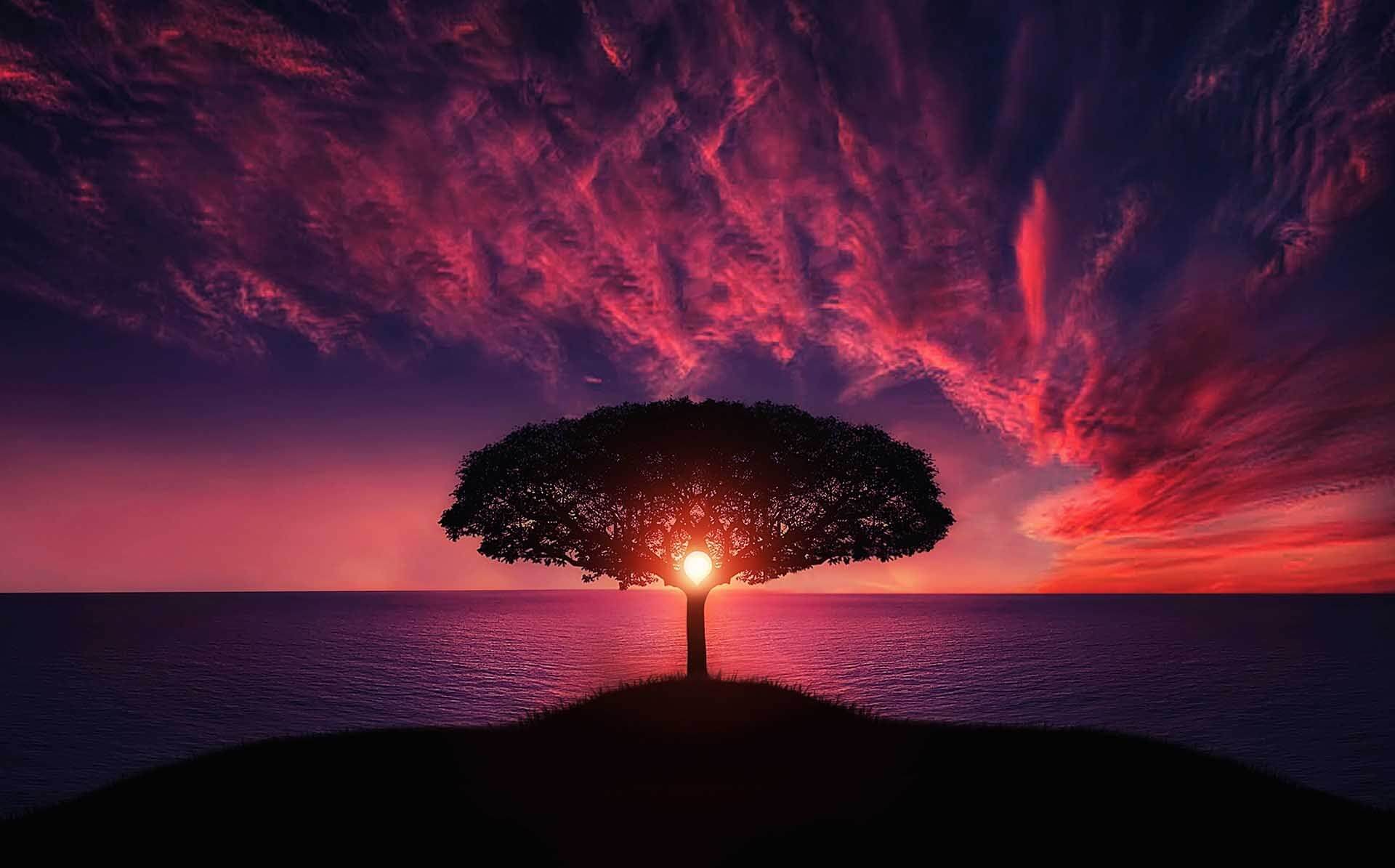 sol