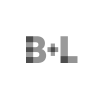 Bausch & Lomb